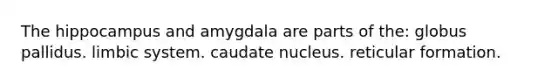 The hippocampus and amygdala are parts of the: globus pallidus. limbic system. caudate nucleus. reticular formation.