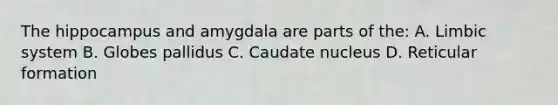 The hippocampus and amygdala are parts of the: A. Limbic system B. Globes pallidus C. Caudate nucleus D. Reticular formation