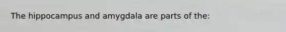 The hippocampus and amygdala are parts of the: