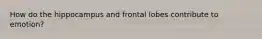How do the hippocampus and frontal lobes contribute to emotion?