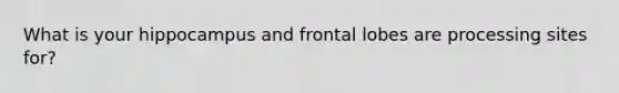 What is your hippocampus and frontal lobes are processing sites for?