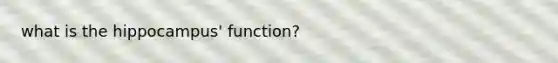 what is the hippocampus' function?