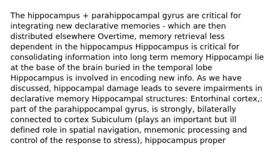 The hippocampus + parahippocampal gyrus are critical for integrating new declarative memories - which are then distributed elsewhere Overtime, memory retrieval less dependent in the hippocampus Hippocampus is critical for consolidating information into long term memory Hippocampi lie at the base of the brain buried in the temporal lobe Hippocampus is involved in encoding new info. As we have discussed, hippocampal damage leads to severe impairments in declarative memory Hippocampal structures: Entorhinal cortex,: part of the parahippocampal gyrus, is strongly, bilaterally connected to cortex Subiculum (plays an important but ill defined role in spatial navigation, mnemonic processing and control of the response to stress), hippocampus proper