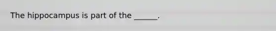 The hippocampus is part of the ______.