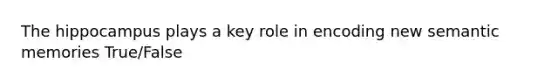 The hippocampus plays a key role in encoding new semantic memories True/False