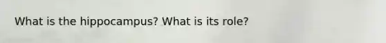 What is the hippocampus? What is its role?