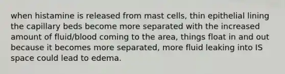 when histamine is released from mast cells, thin epithelial lining the capillary beds become more separated with the increased amount of fluid/blood coming to the area, things float in and out because it becomes more separated, more fluid leaking into IS space could lead to edema.