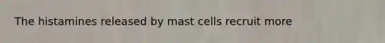 The histamines released by mast cells recruit more