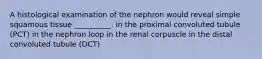 A histological examination of the nephron would reveal simple squamous tissue __________. in the proximal convoluted tubule (PCT) in the nephron loop in the renal corpuscle in the distal convoluted tubule (DCT)