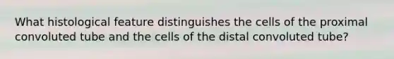 What histological feature distinguishes the cells of the proximal convoluted tube and the cells of the distal convoluted tube?
