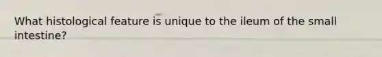 What histological feature is unique to the ileum of the small intestine?