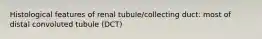 Histological features of renal tubule/collecting duct: most of distal convoluted tubule (DCT)