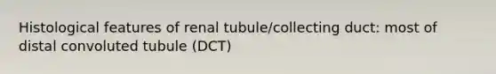 Histological features of renal tubule/collecting duct: most of distal convoluted tubule (DCT)