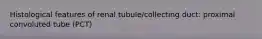 Histological features of renal tubule/collecting duct: proximal convoluted tube (PCT)