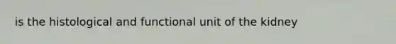 is the histological and functional unit of the kidney