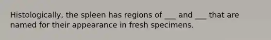 Histologically, the spleen has regions of ___ and ___ that are named for their appearance in fresh specimens.