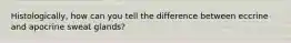 Histologically, how can you tell the difference between eccrine and apocrine sweat glands?