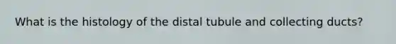 What is the histology of the distal tubule and collecting ducts?