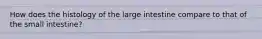 How does the histology of the large intestine compare to that of the small intestine?