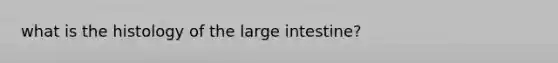 what is the histology of the large intestine?