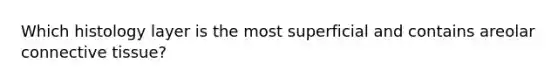 Which histology layer is the most superficial and contains areolar connective tissue?