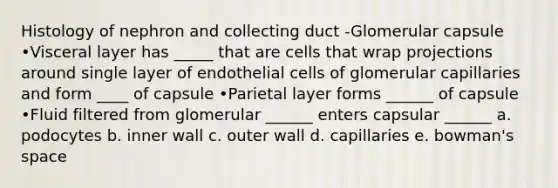 Histology of nephron and collecting duct -Glomerular capsule •Visceral layer has _____ that are cells that wrap projections around single layer of endothelial cells of glomerular capillaries and form ____ of capsule •Parietal layer forms ______ of capsule •Fluid filtered from glomerular ______ enters capsular ______ a. podocytes b. inner wall c. outer wall d. capillaries e. bowman's space