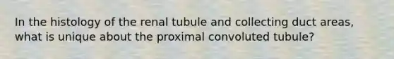 In the histology of the renal tubule and collecting duct areas, what is unique about the proximal convoluted tubule?