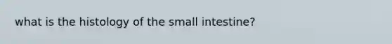 what is the histology of <a href='https://www.questionai.com/knowledge/kt623fh5xn-the-small-intestine' class='anchor-knowledge'>the small intestine</a>?