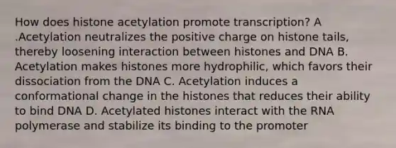 How does histone acetylation promote transcription? A .Acetylation neutralizes the positive charge on histone tails, thereby loosening interaction between histones and DNA B. Acetylation makes histones more hydrophilic, which favors their dissociation from the DNA C. Acetylation induces a conformational change in the histones that reduces their ability to bind DNA D. Acetylated histones interact with the RNA polymerase and stabilize its binding to the promoter