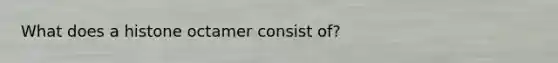 What does a histone octamer consist of?