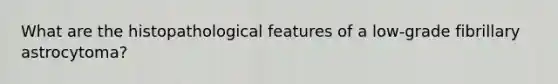 What are the histopathological features of a low-grade fibrillary astrocytoma?