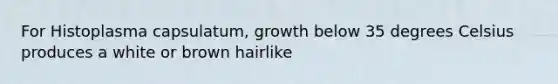 For Histoplasma capsulatum, growth below 35 degrees Celsius produces a white or brown hairlike