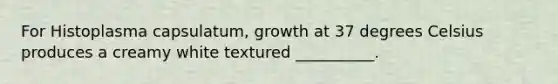 For Histoplasma capsulatum, growth at 37 degrees Celsius produces a creamy white textured __________.