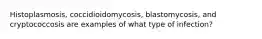 Histoplasmosis, coccidioidomycosis, blastomycosis, and cryptococcosis are examples of what type of infection?