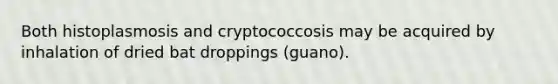 Both histoplasmosis and cryptococcosis may be acquired by inhalation of dried bat droppings (guano).