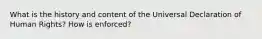 What is the history and content of the Universal Declaration of Human Rights? How is enforced?