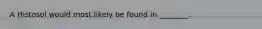 A Histosol would most likely be found in ________.