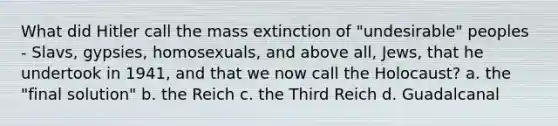 What did Hitler call the mass extinction of "undesirable" peoples - Slavs, gypsies, homosexuals, and above all, Jews, that he undertook in 1941, and that we now call the Holocaust? a. the "final solution" b. the Reich c. the Third Reich d. Guadalcanal