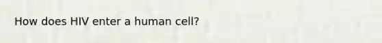 How does HIV enter a human cell?