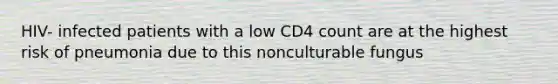 HIV- infected patients with a low CD4 count are at the highest risk of pneumonia due to this nonculturable fungus