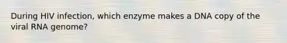 During HIV infection, which enzyme makes a DNA copy of the viral RNA genome?