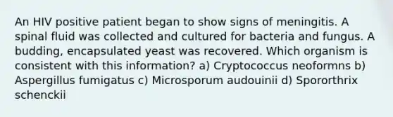 An HIV positive patient began to show signs of meningitis. A spinal fluid was collected and cultured for bacteria and fungus. A budding, encapsulated yeast was recovered. Which organism is consistent with this information? a) Cryptococcus neoformns b) Aspergillus fumigatus c) Microsporum audouinii d) Spororthrix schenckii