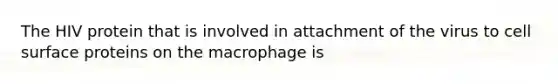 The HIV protein that is involved in attachment of the virus to cell surface proteins on the macrophage is