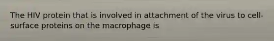 The HIV protein that is involved in attachment of the virus to cell-surface proteins on the macrophage is