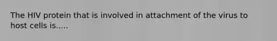 The HIV protein that is involved in attachment of the virus to host cells is.....