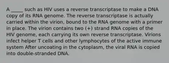 A _____ such as HIV uses a reverse transcriptase to make a DNA copy of its RNA genome. The reverse transcriptase is actually carried within the virion, bound to the RNA genome with a primer in place. The virion contains two (+) strand RNA copies of the HIV genome, each carrying its own reverse transcriptase. Virions infect helper T cells and other lymphocytes of the active immune system After uncoating in the cytoplasm, the viral RNA is copied into double-stranded DNA.