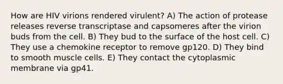 How are HIV virions rendered virulent? A) The action of protease releases reverse transcriptase and capsomeres after the virion buds from the cell. B) They bud to the surface of the host cell. C) They use a chemokine receptor to remove gp120. D) They bind to smooth muscle cells. E) They contact the cytoplasmic membrane via gp41.