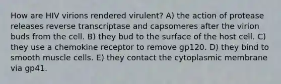 How are HIV virions rendered virulent? A) the action of protease releases reverse transcriptase and capsomeres after the virion buds from the cell. B) they bud to the surface of the host cell. C) they use a chemokine receptor to remove gp120. D) they bind to smooth muscle cells. E) they contact the cytoplasmic membrane via gp41.