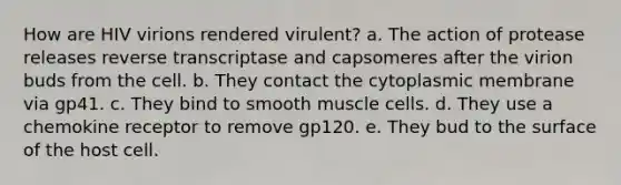 How are HIV virions rendered virulent? a. The action of protease releases reverse transcriptase and capsomeres after the virion buds from the cell. b. They contact the cytoplasmic membrane via gp41. c. They bind to smooth muscle cells. d. They use a chemokine receptor to remove gp120. e. They bud to the surface of the host cell.