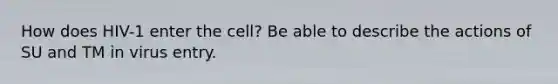 How does HIV-1 enter the cell? Be able to describe the actions of SU and TM in virus entry.
